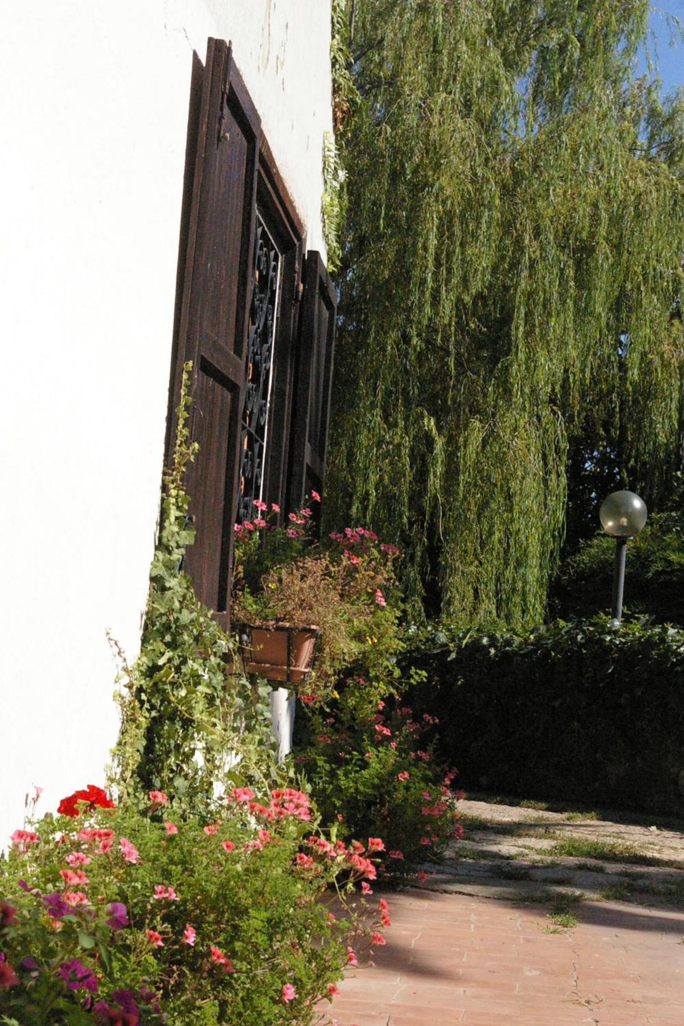 B&B Villa Sans Souci Civitavecchia Kültér fotó