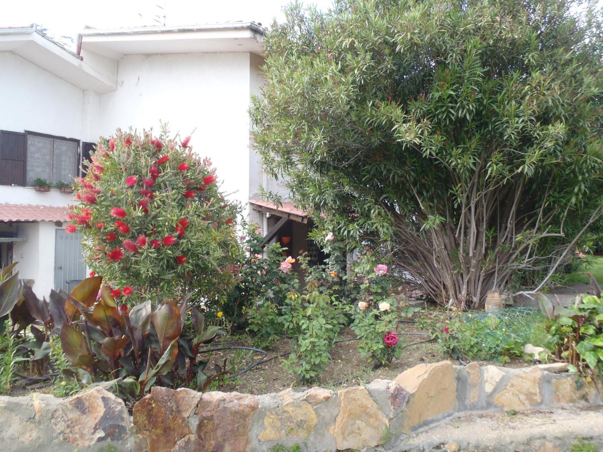 B&B Villa Sans Souci Civitavecchia Kültér fotó