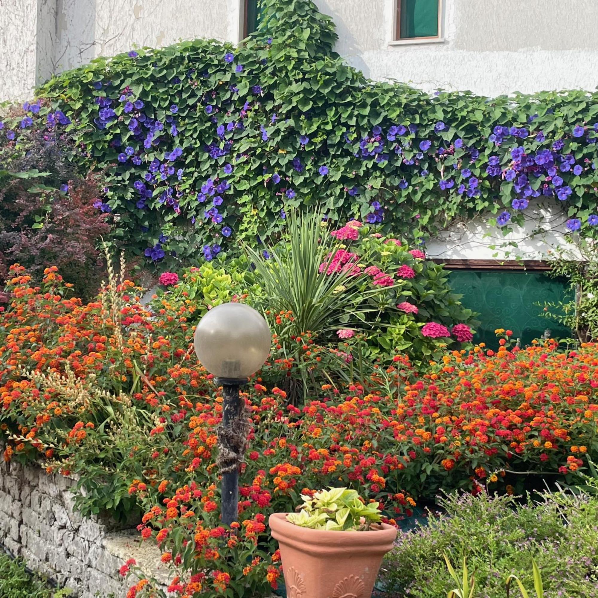 B&B Villa Sans Souci Civitavecchia Kültér fotó