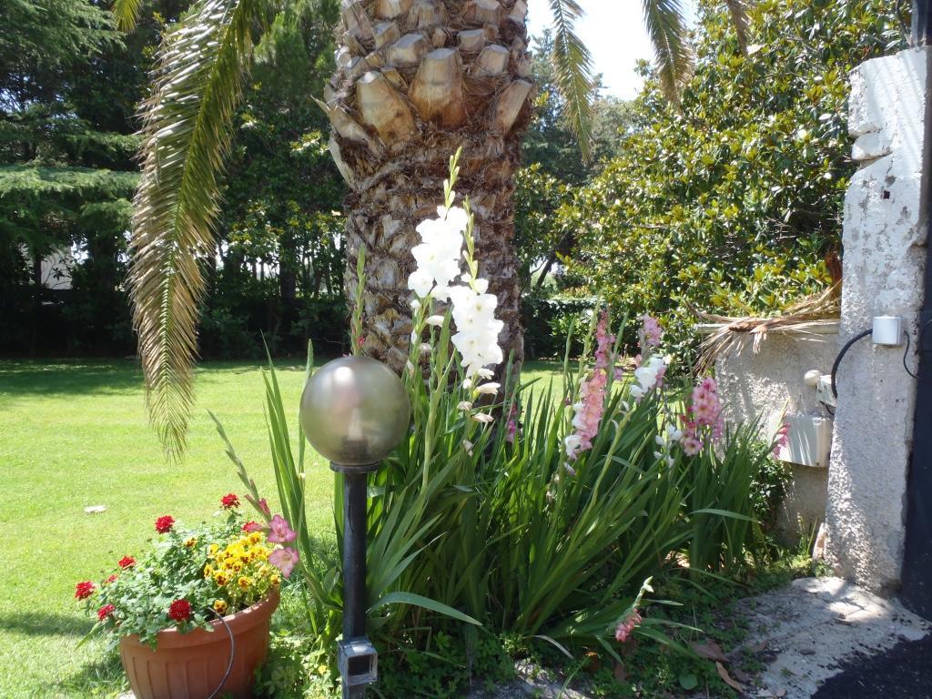 B&B Villa Sans Souci Civitavecchia Kültér fotó