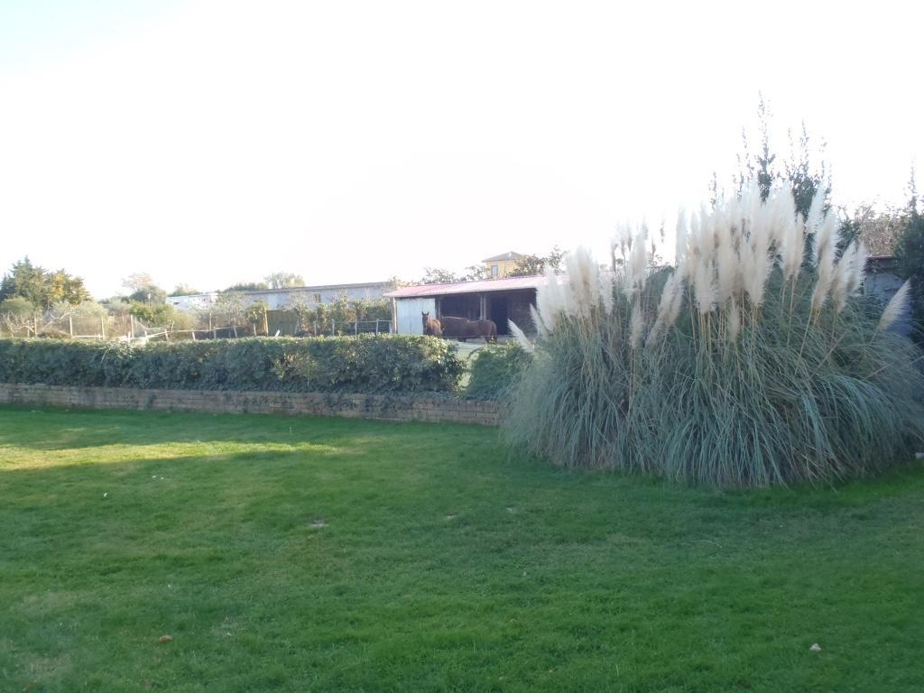 B&B Villa Sans Souci Civitavecchia Kültér fotó