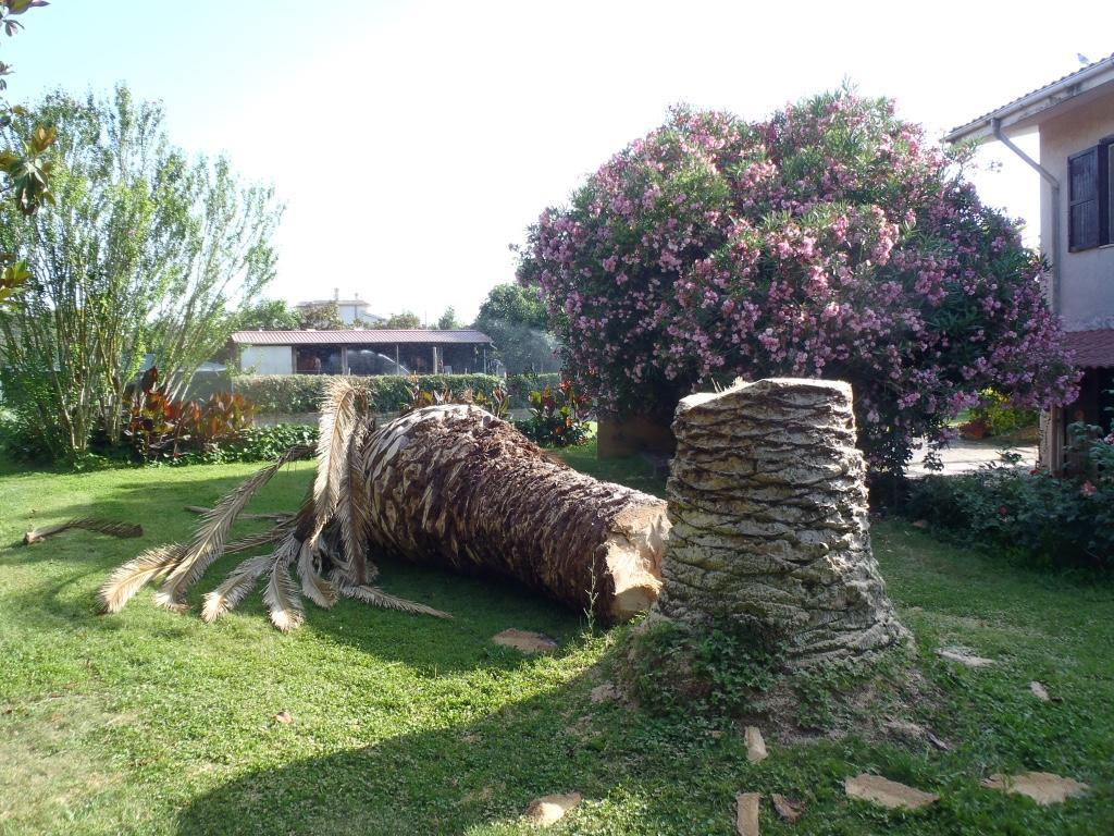 B&B Villa Sans Souci Civitavecchia Kültér fotó